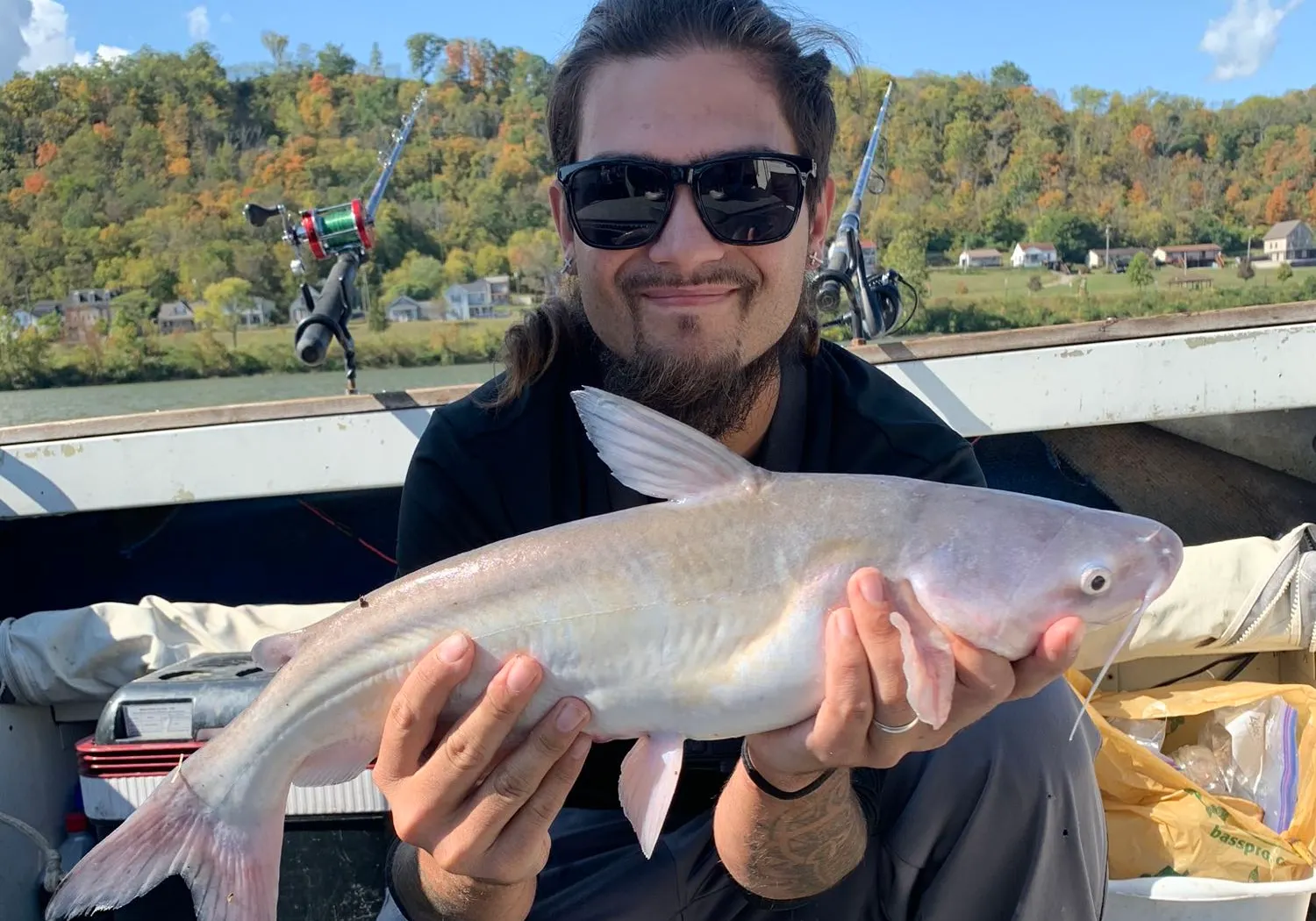 Blue catfish