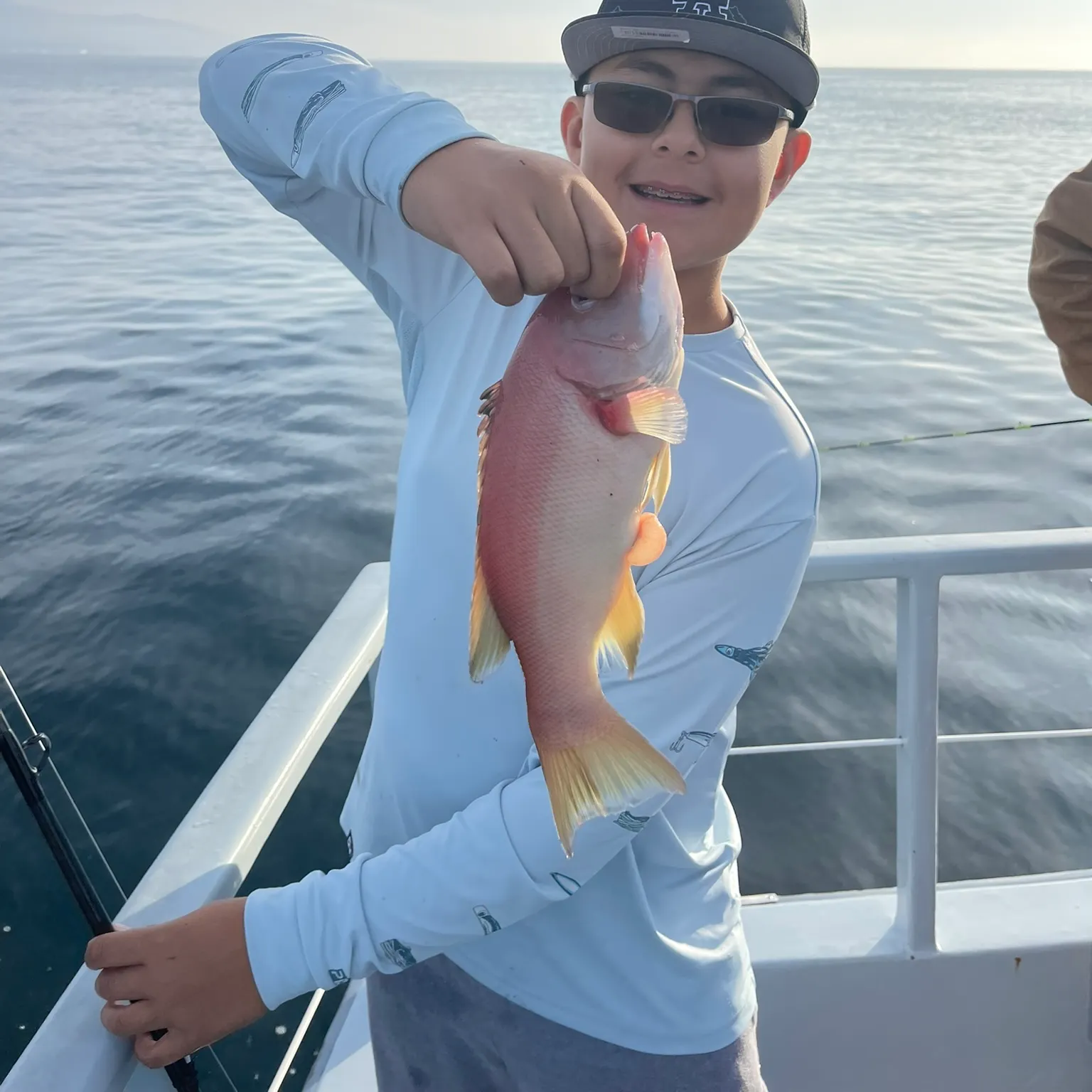 The most recent California sheephead catches on Fishbrain