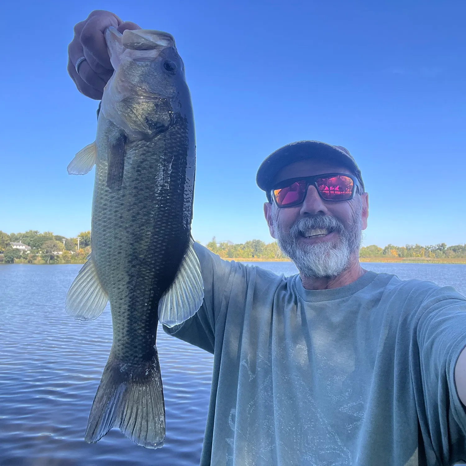Largemouth bass caught on Fishbrain