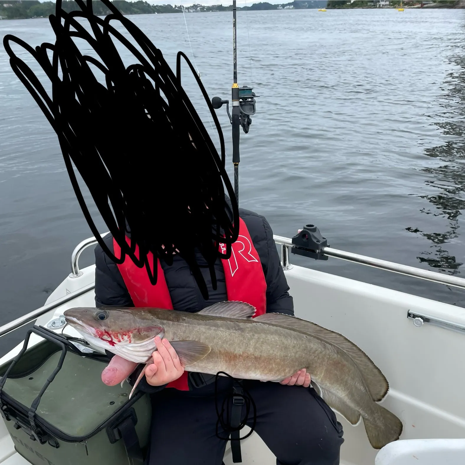 The most recent Common ling catches on Fishbrain