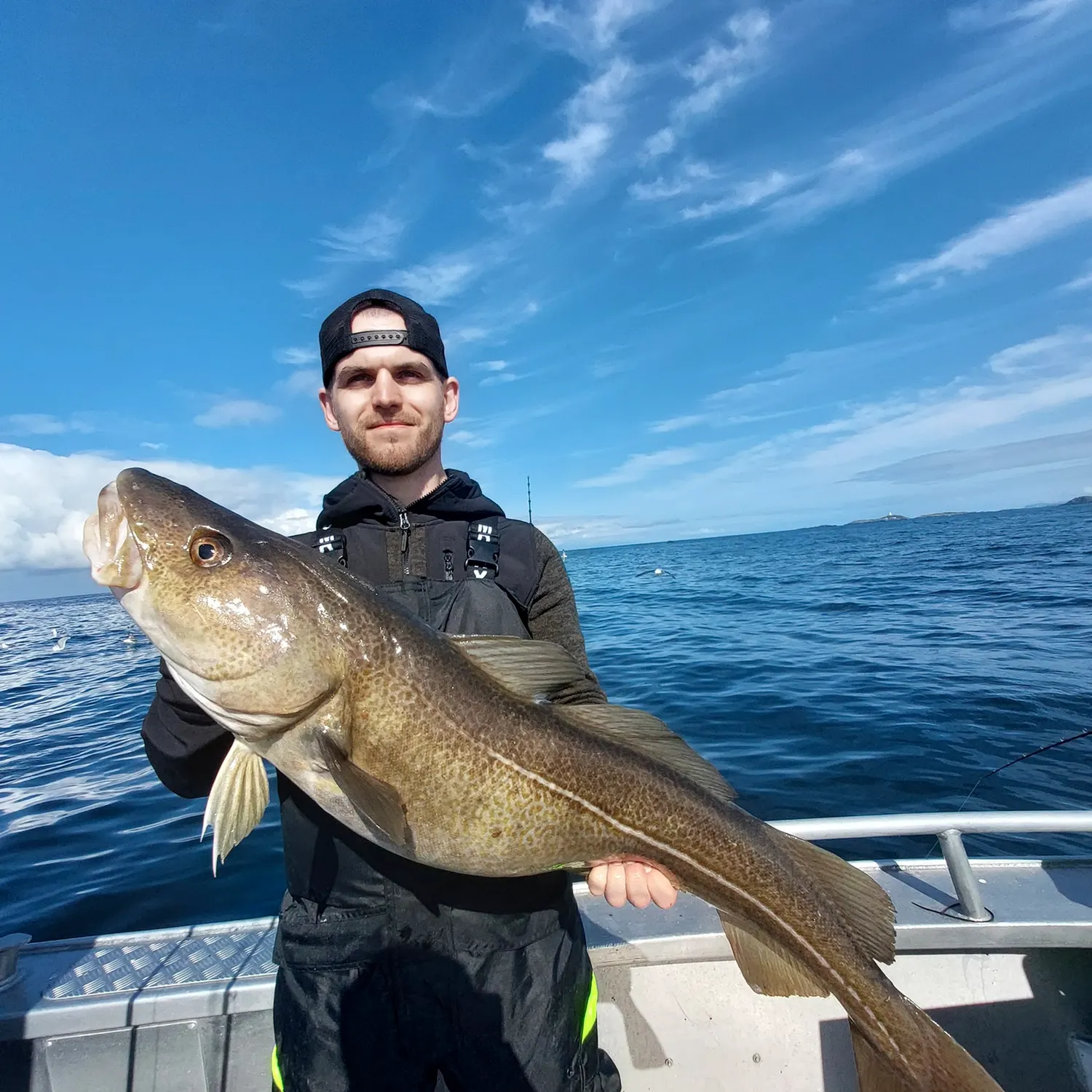 Atlantic cod caught on Fishbrain