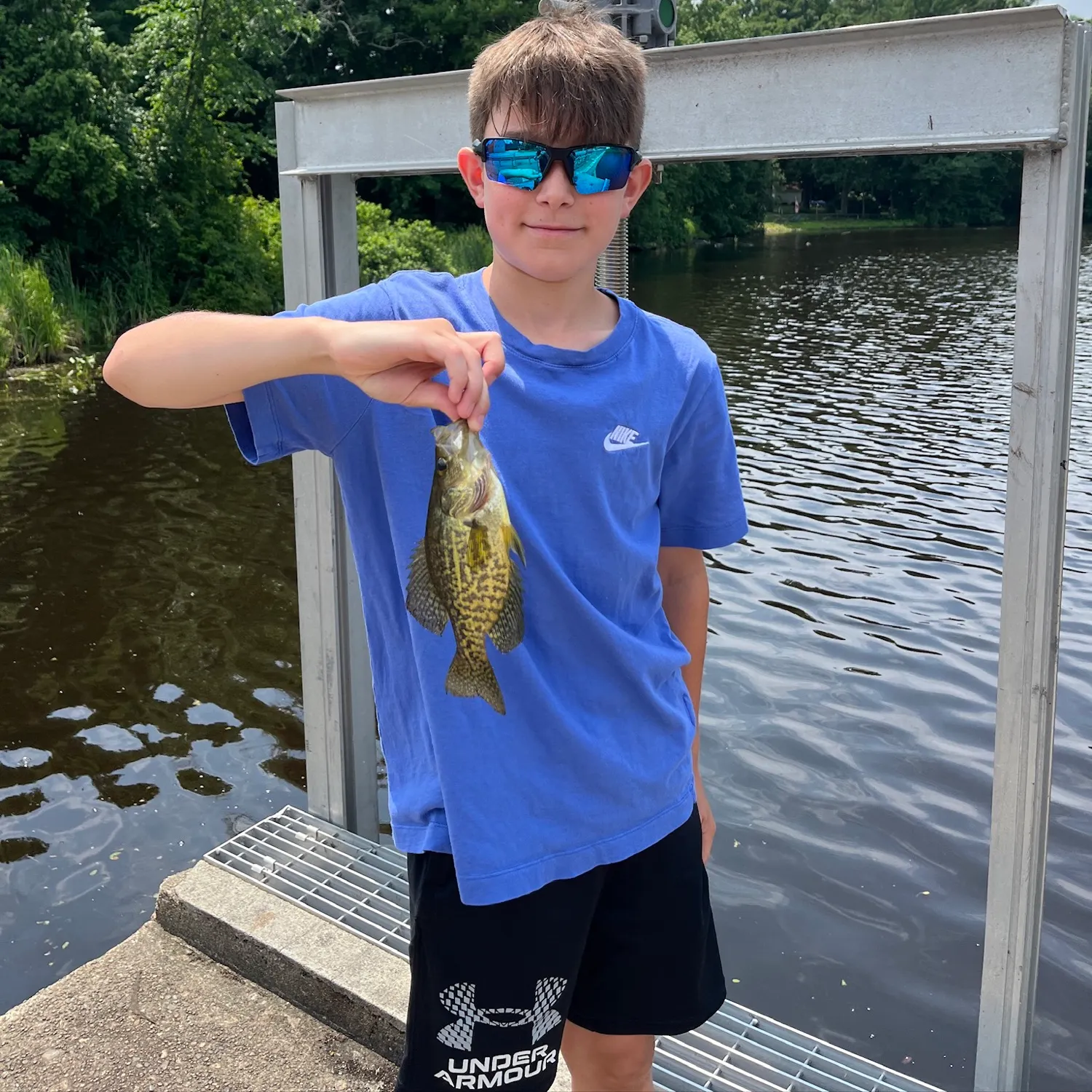 Black crappie caught on Fishbrain