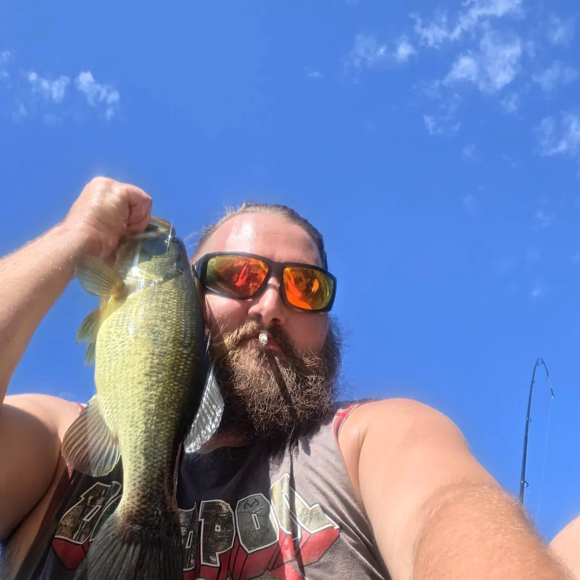 Largemouth bass caught on Fishbrain
