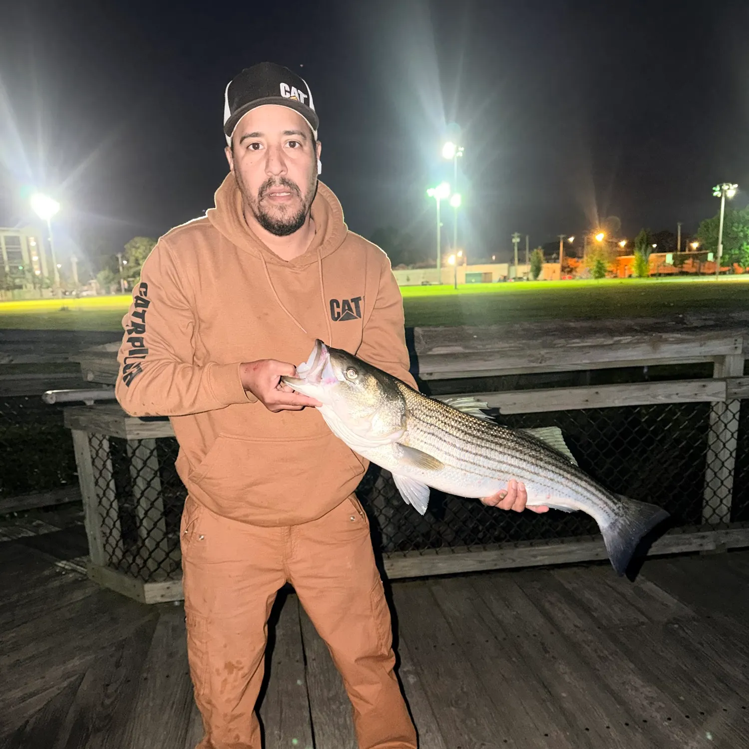 Striped bass caught on Fishbrain