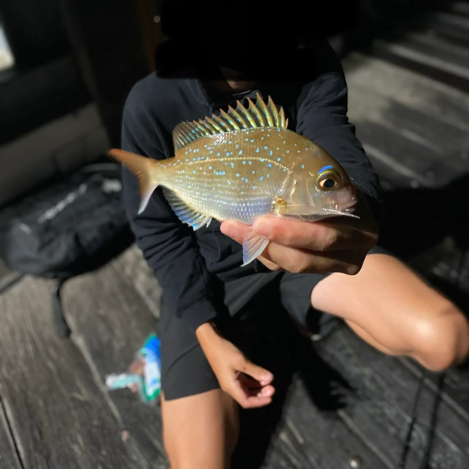 Australasian snapper caught on Fishbrain