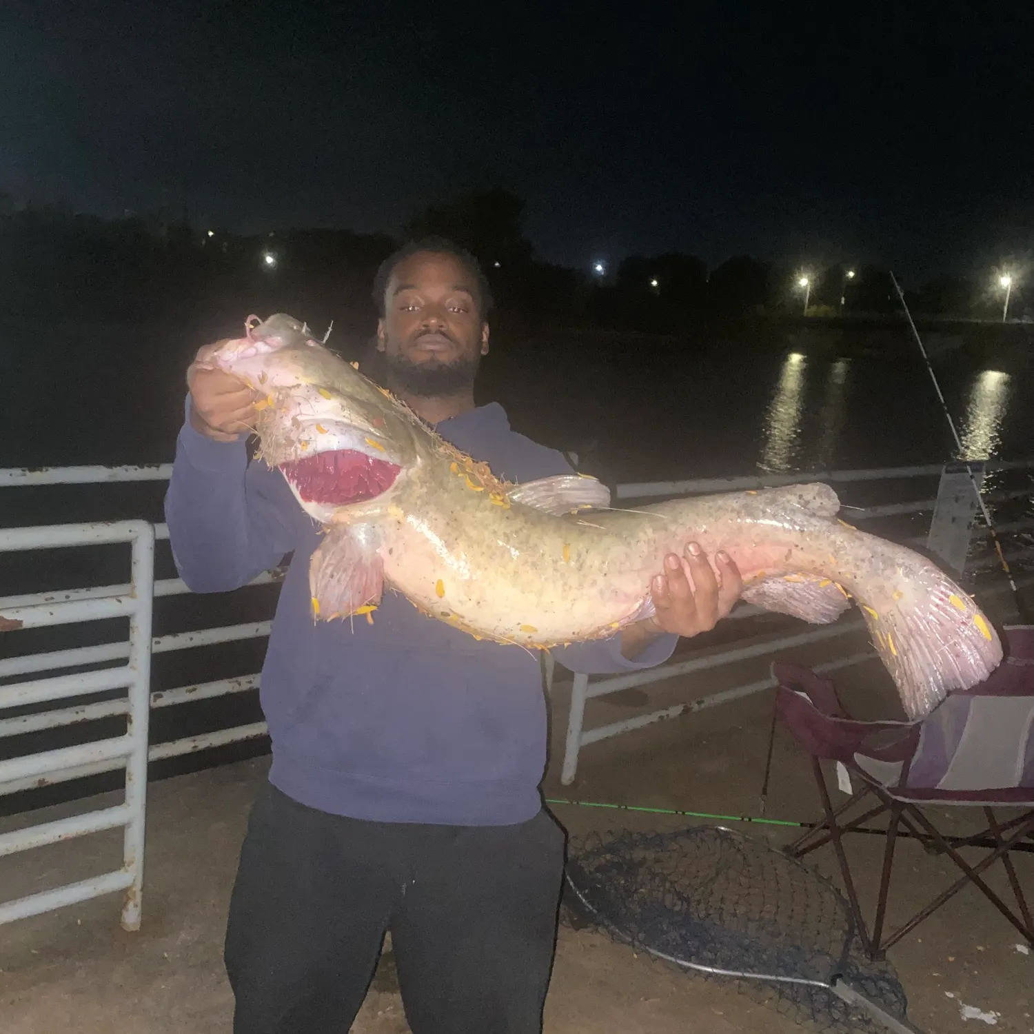 Flathead catfish caught on Fishbrain