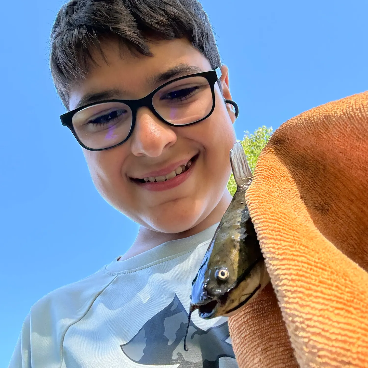 Yellow bullhead caught on Fishbrain