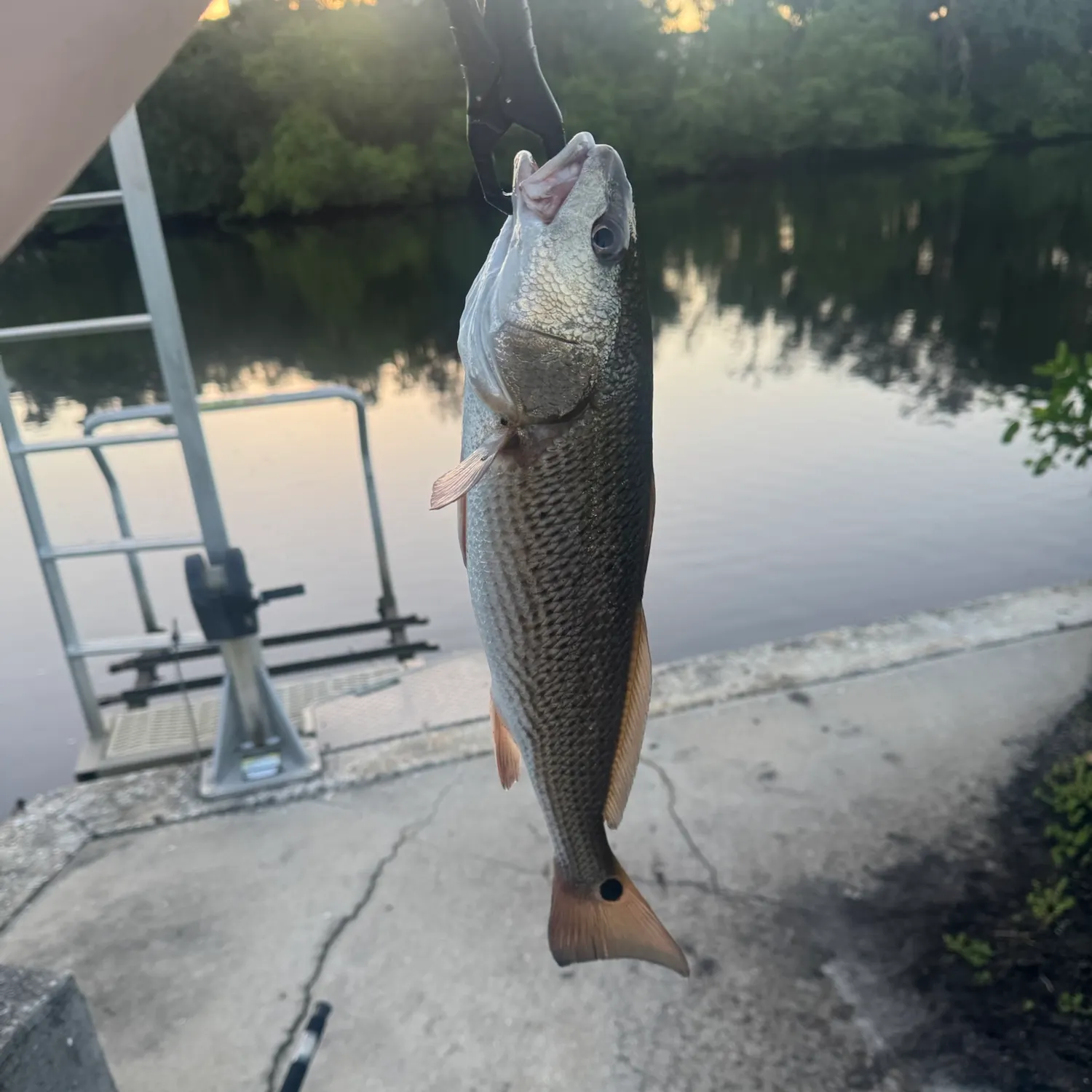 catch