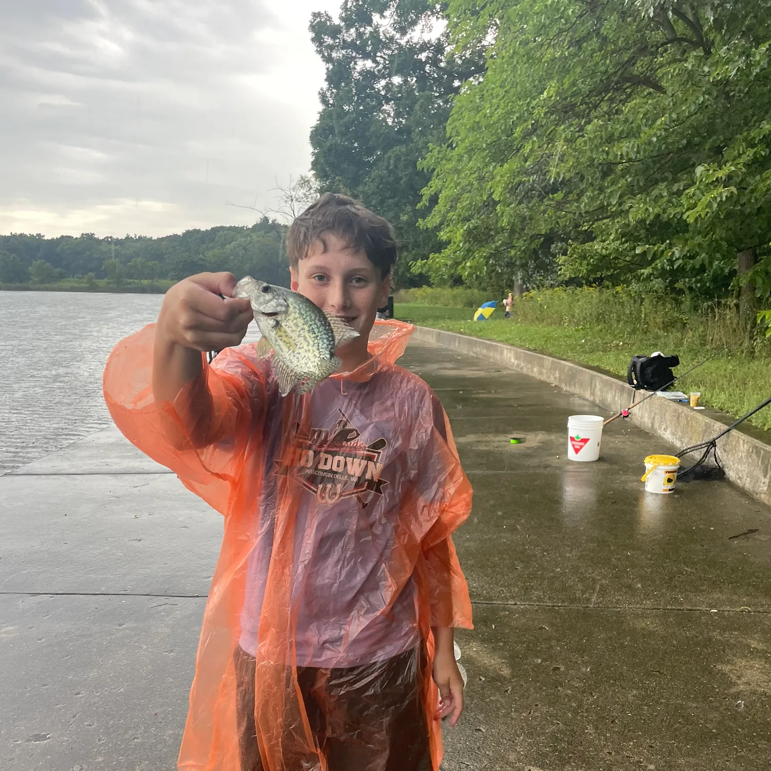 Black crappie caught on Fishbrain