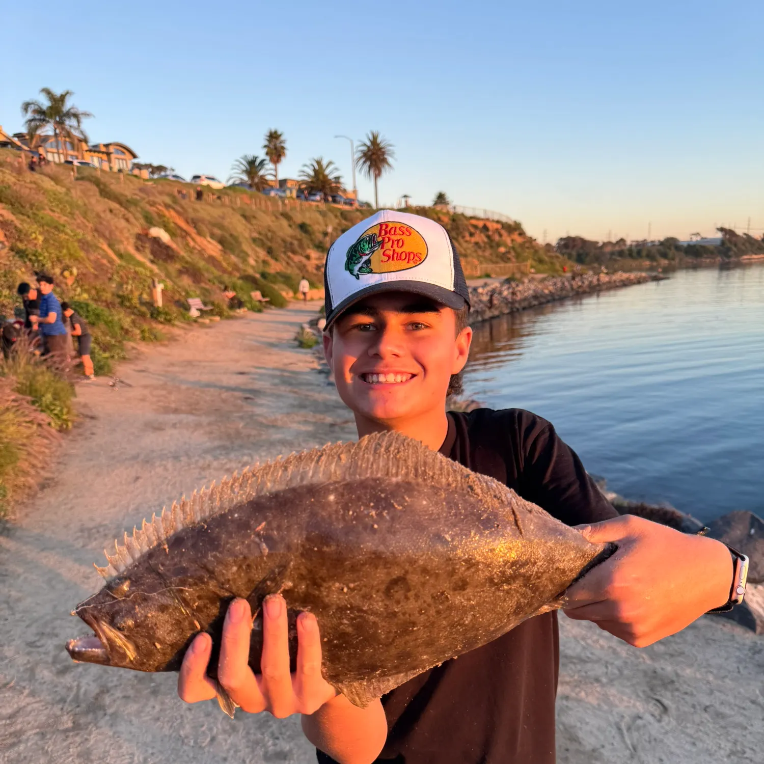 The most recent California halibut catches on Fishbrain