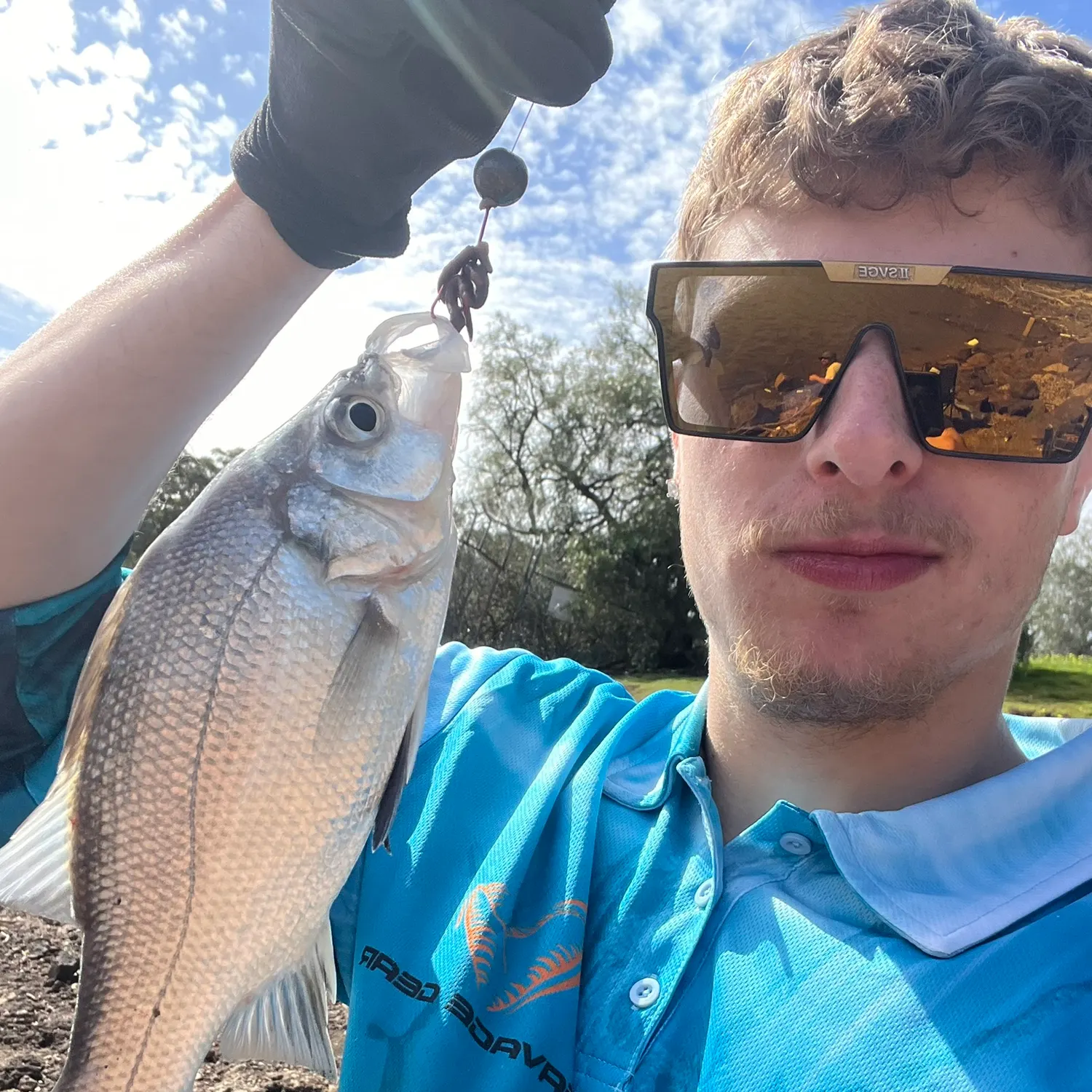 The most recent Bidyan perch catches on Fishbrain