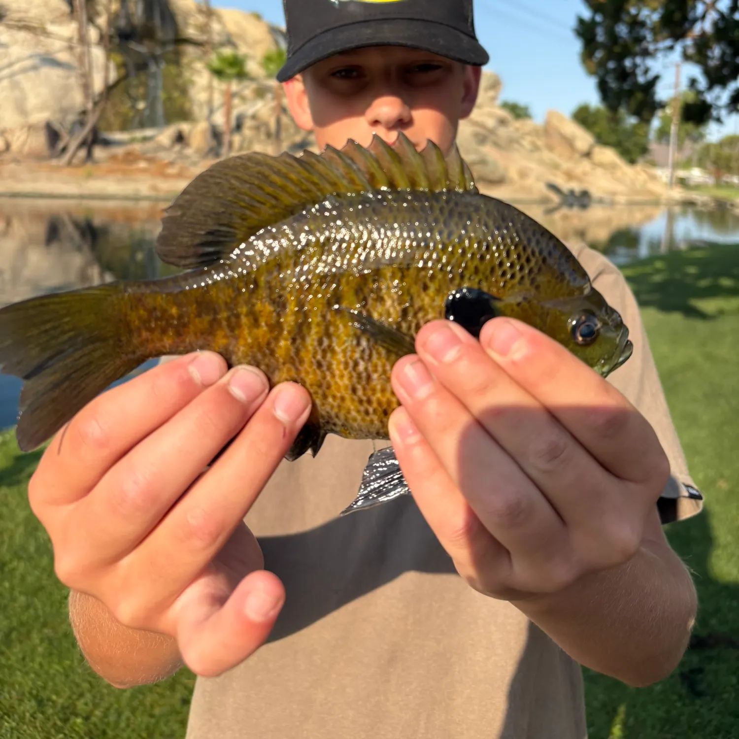 The most recent Bluegill catches on Fishbrain