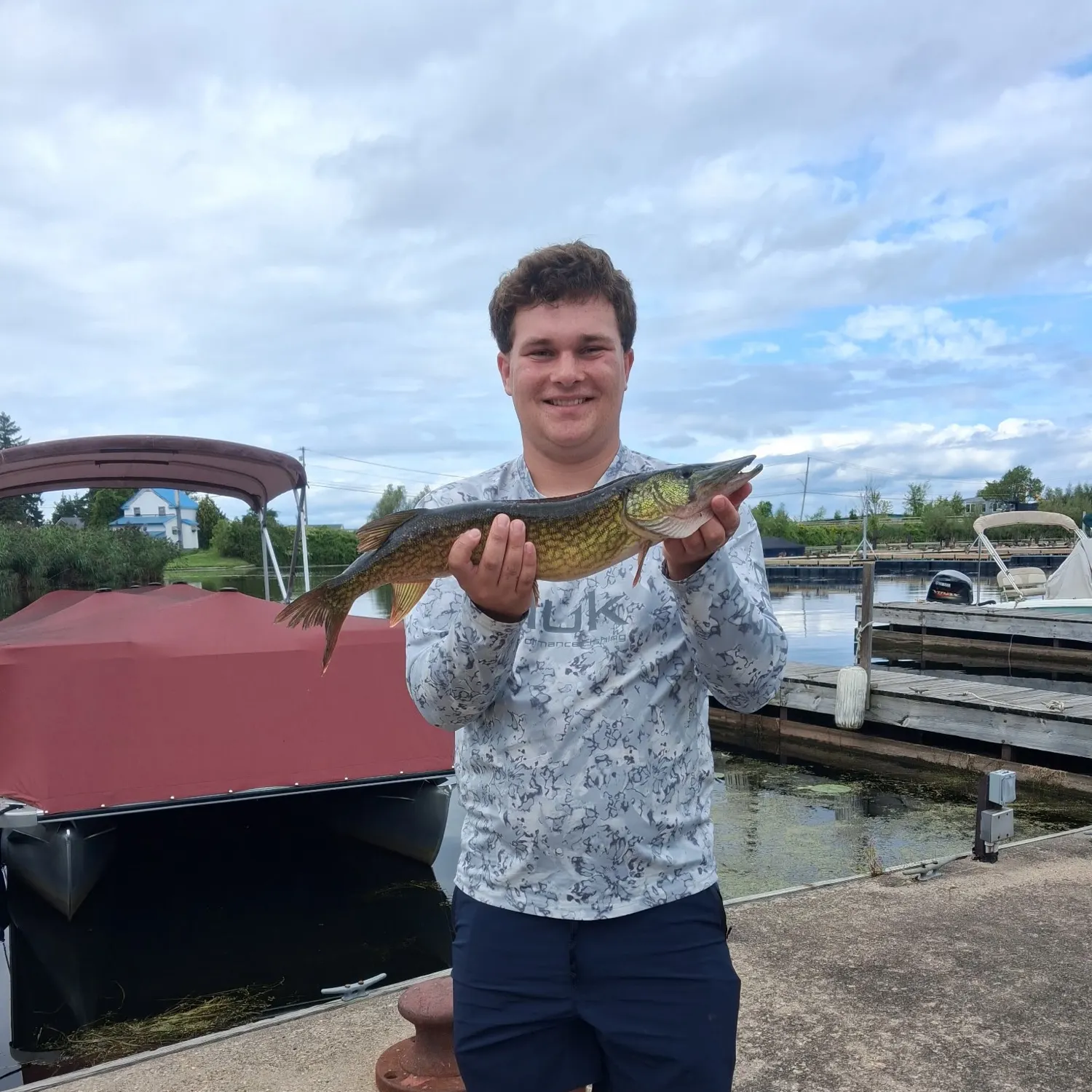 Chain pickerel caught on Fishbrain