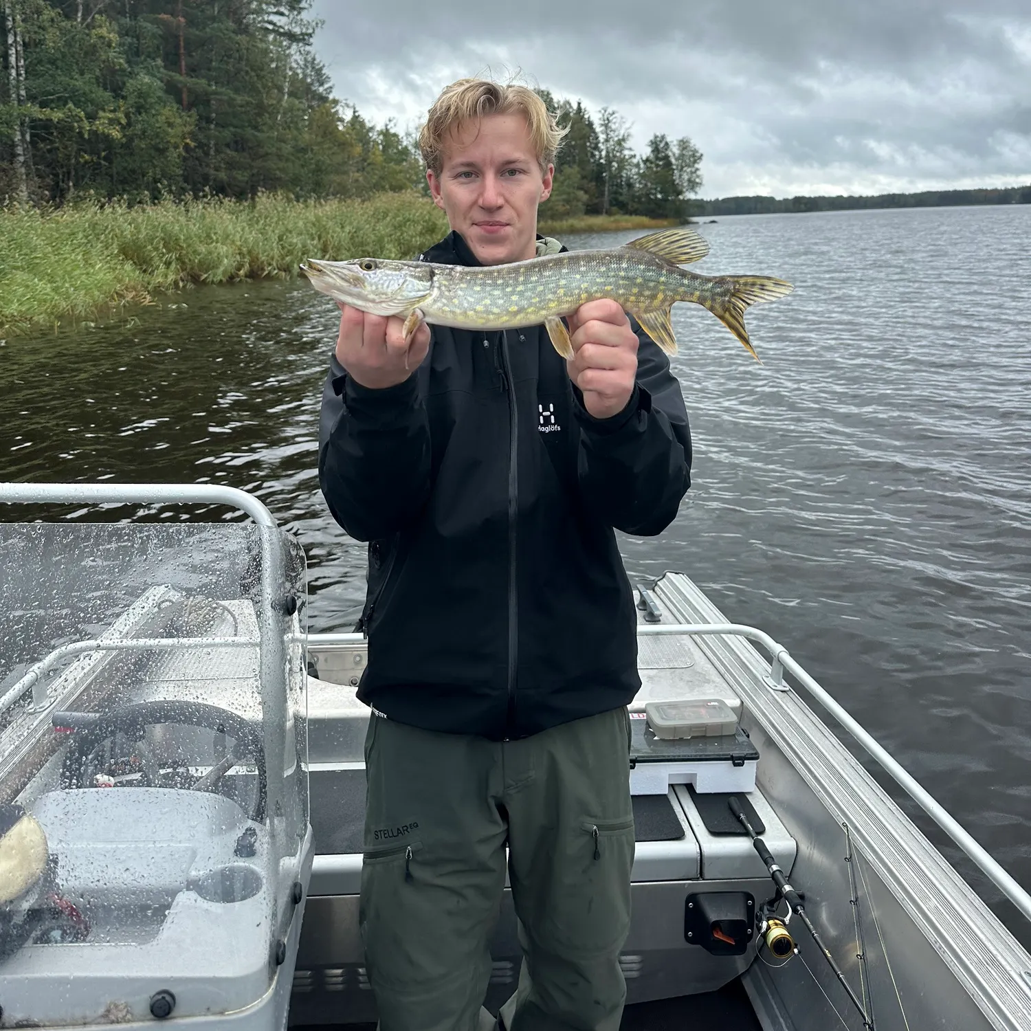 Northern pike caught on Fishbrain