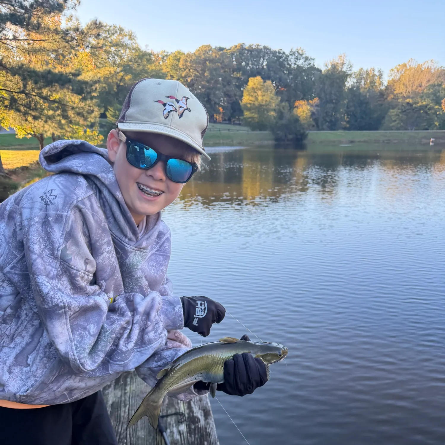 Channel catfish caught on Fishbrain