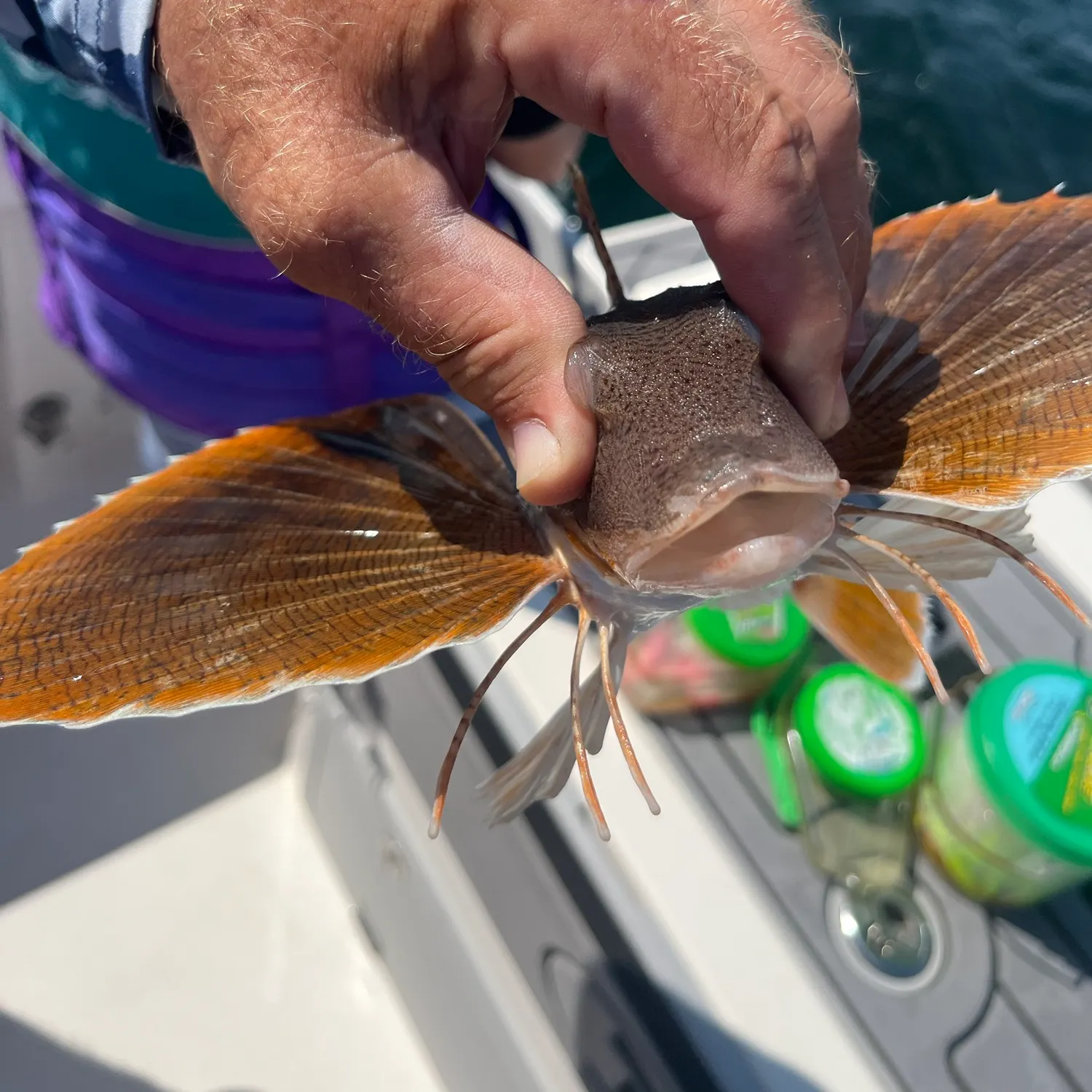 catch