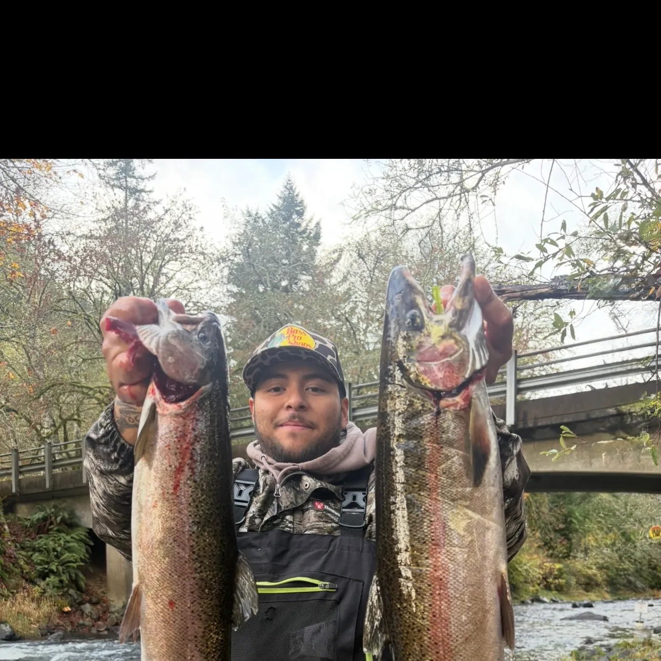Steelhead caught on Fishbrain