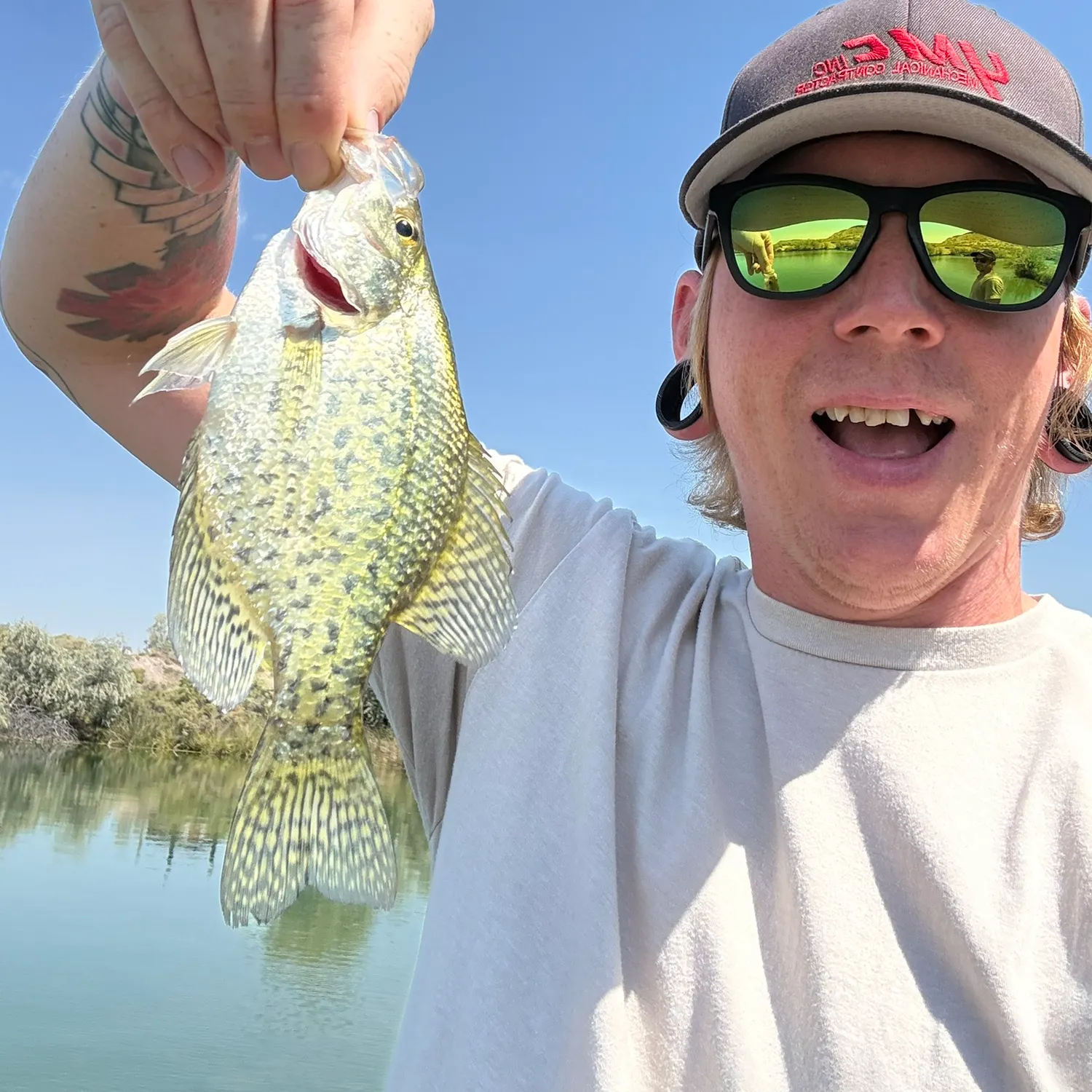 Black crappie caught on Fishbrain
