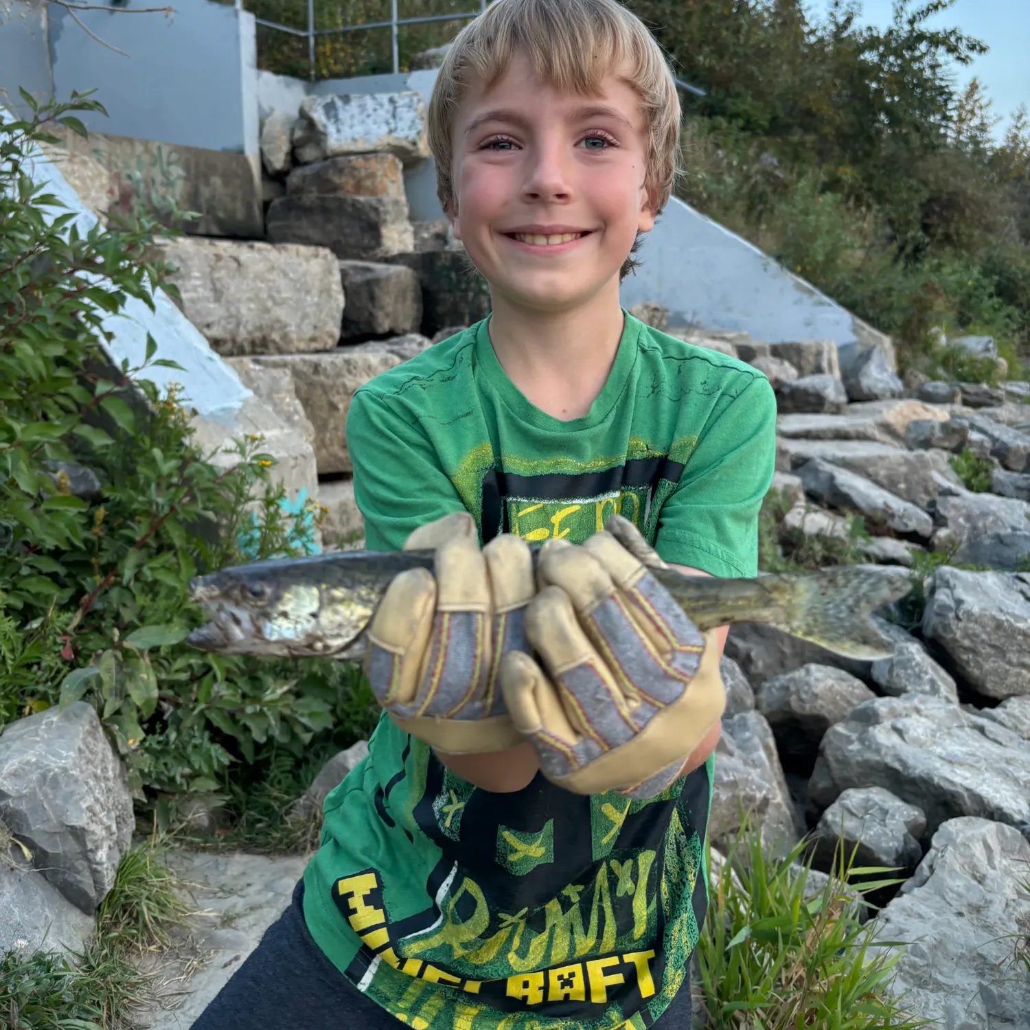 recently logged catches