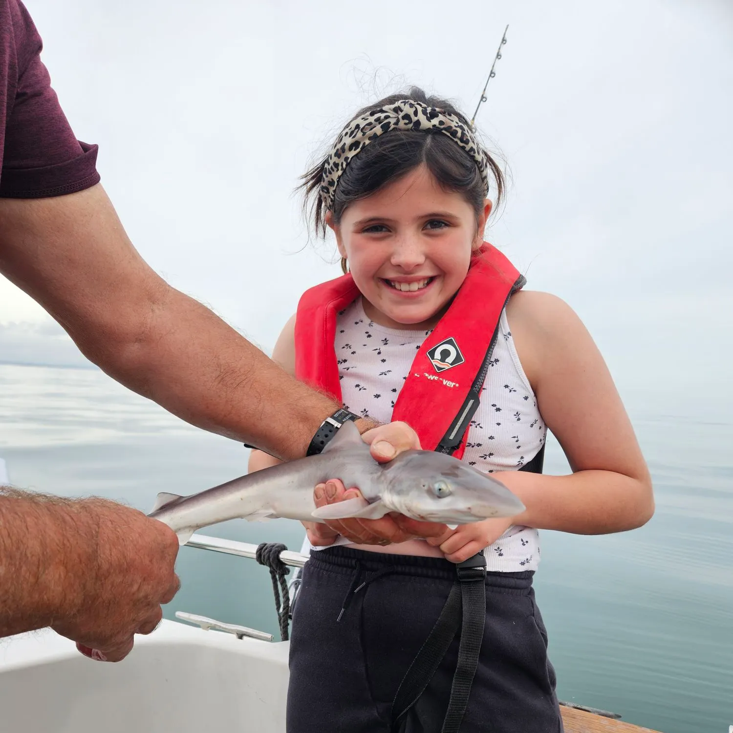 The most recent Tope shark catches on Fishbrain