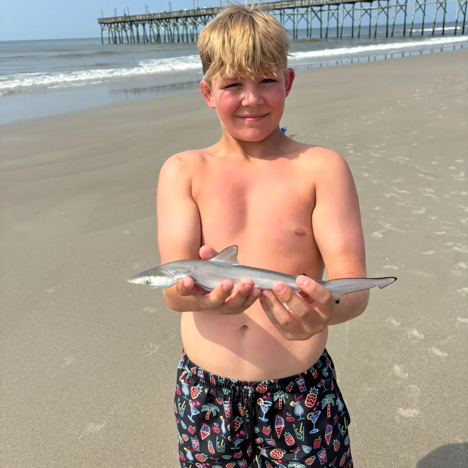 The most recent Blacktip reef shark catches on Fishbrain