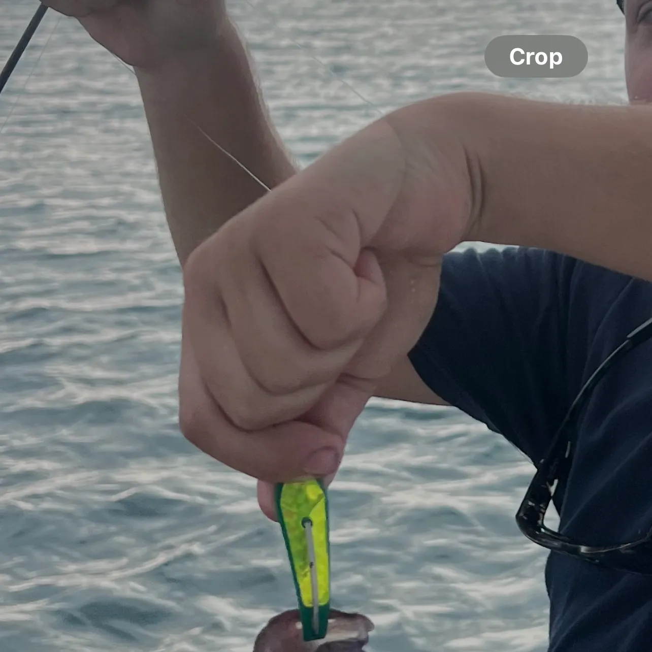Black sea bass caught on Fishbrain