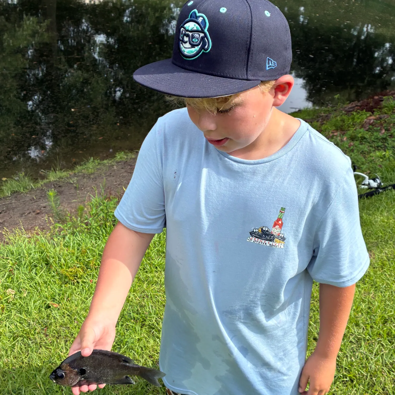 Bluegill caught on Fishbrain