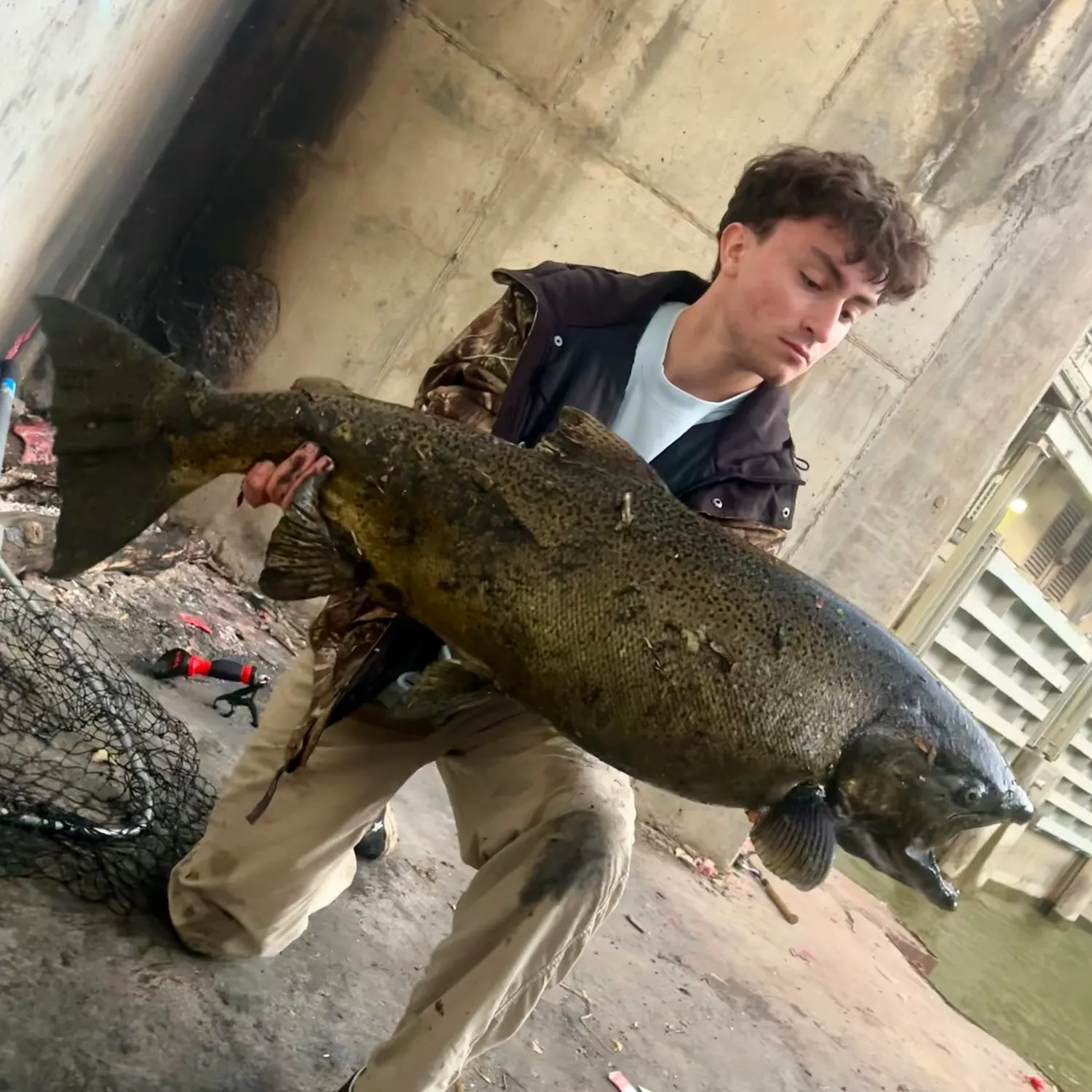 Chinook salmon caught on Fishbrain