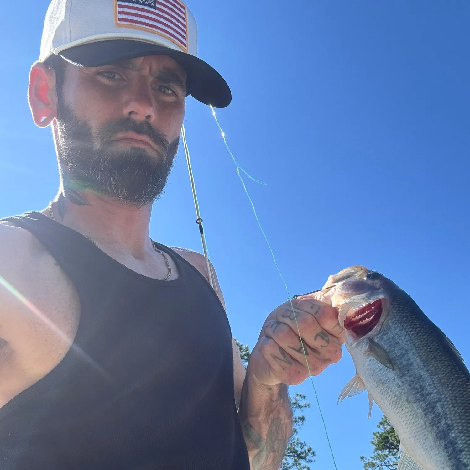 Largemouth bass caught on Fishbrain