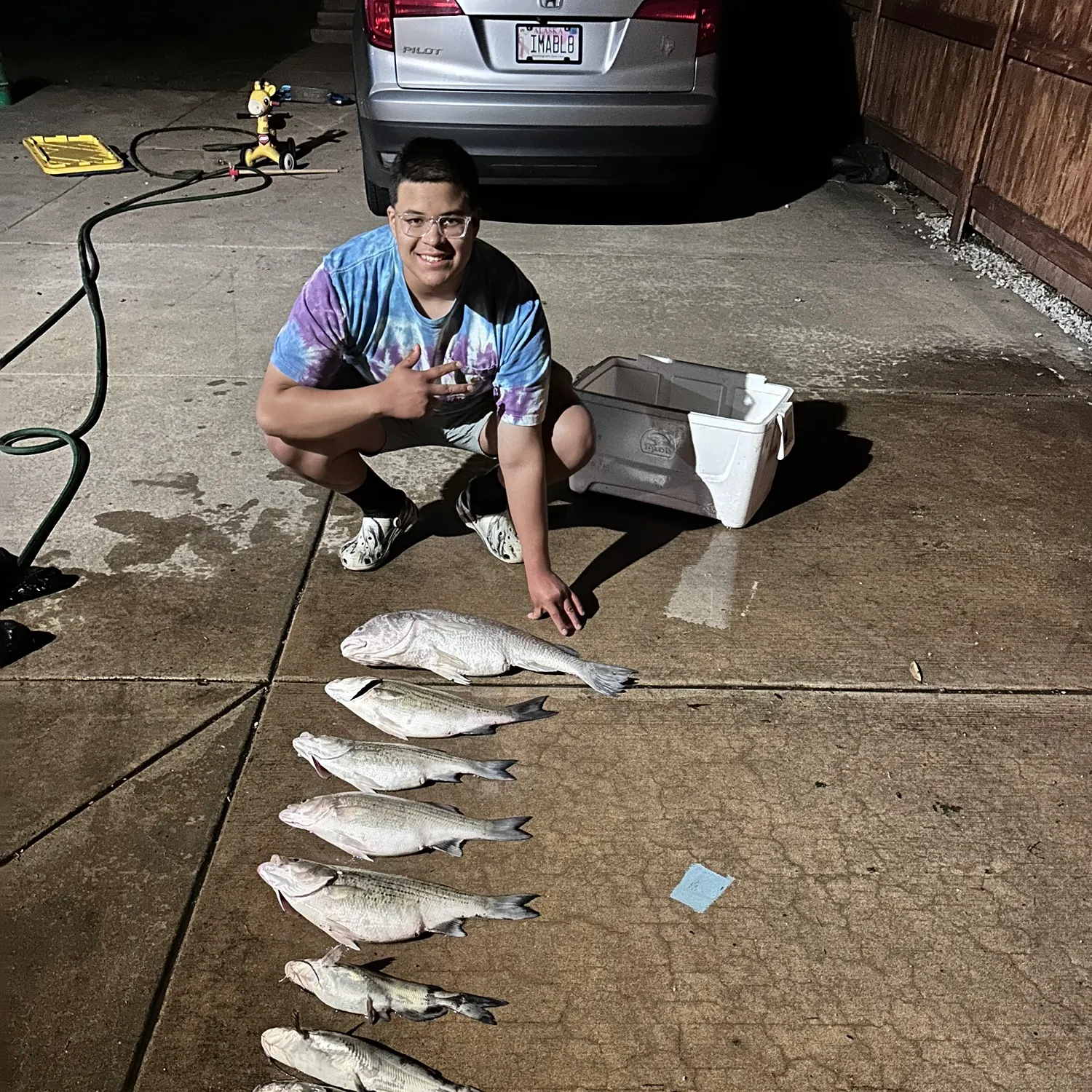 recently logged catches