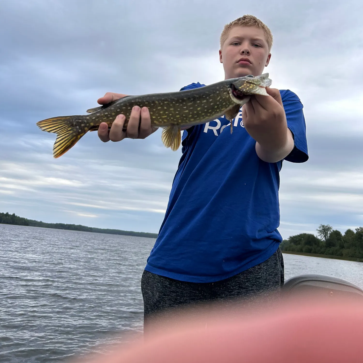 Northern pike caught on Fishbrain