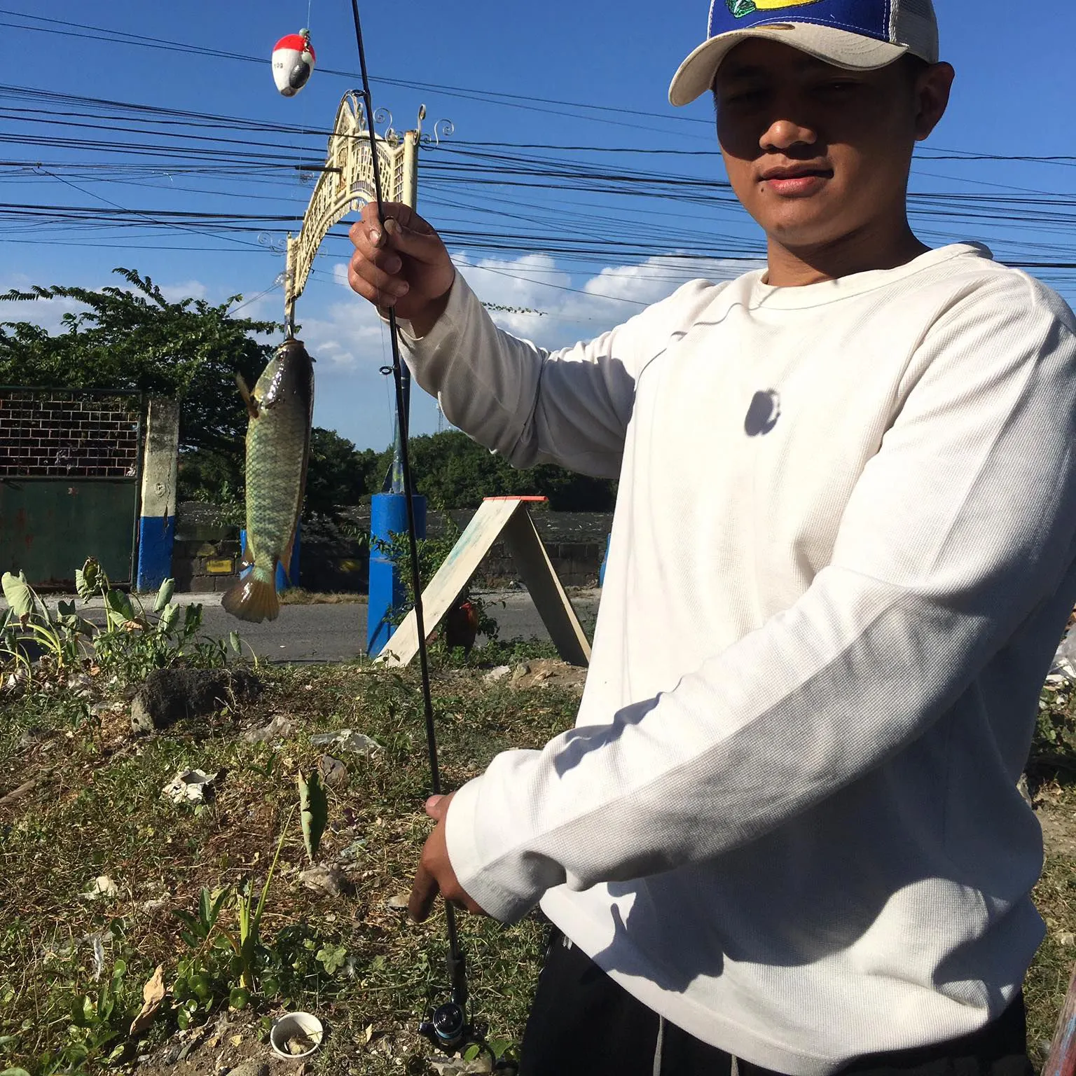 The most recent Climbing perch catches on Fishbrain