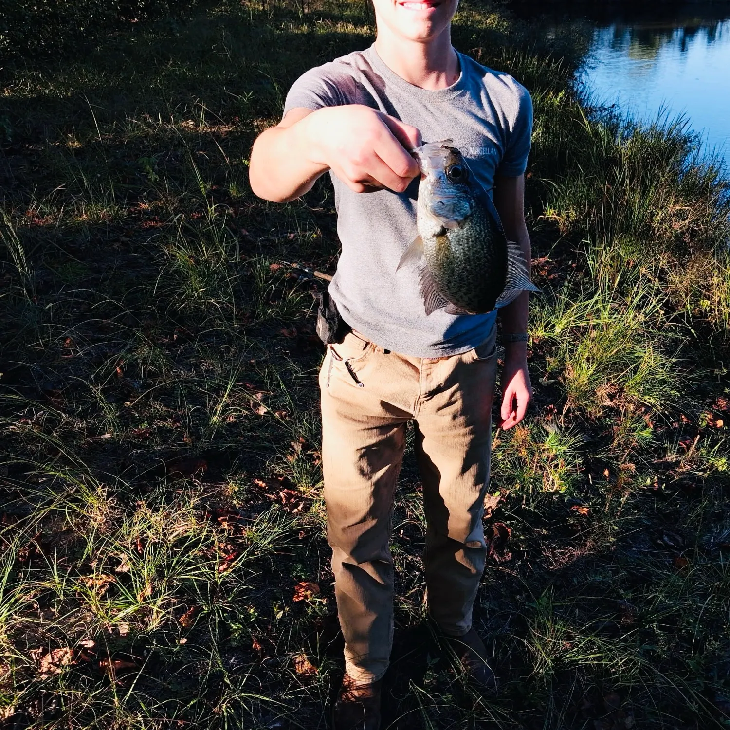 Black crappie caught on Fishbrain