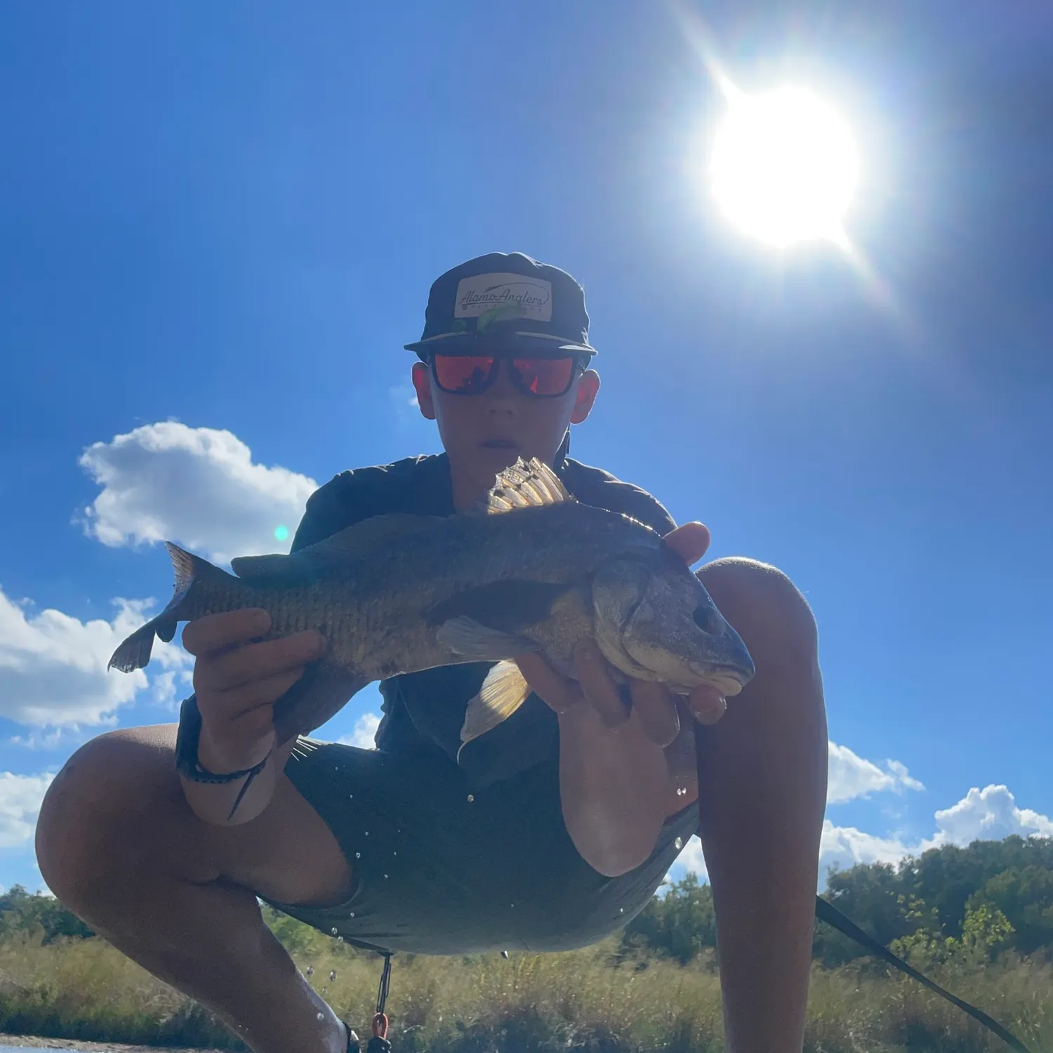 Black drum caught on Fishbrain