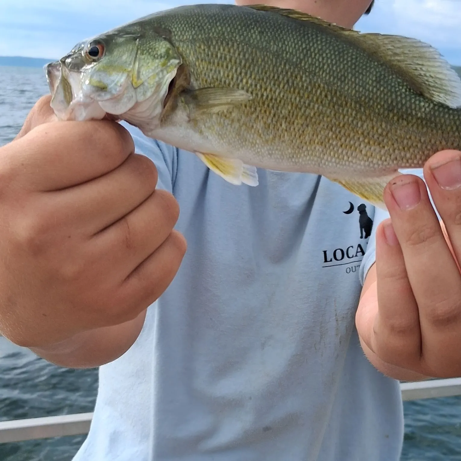 Smallmouth bass caught on Fishbrain