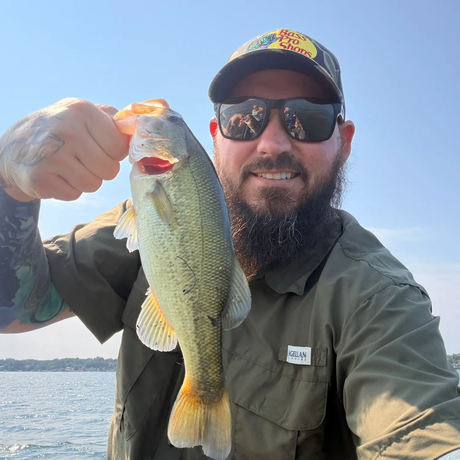 Largemouth bass caught on Fishbrain