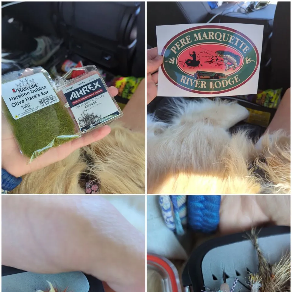 Landlocked atlantic salmon caught on Fishbrain