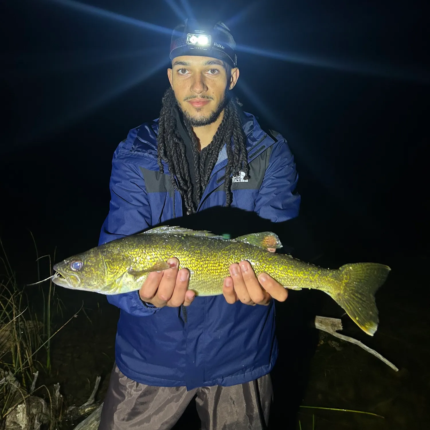 Walleye caught on Fishbrain