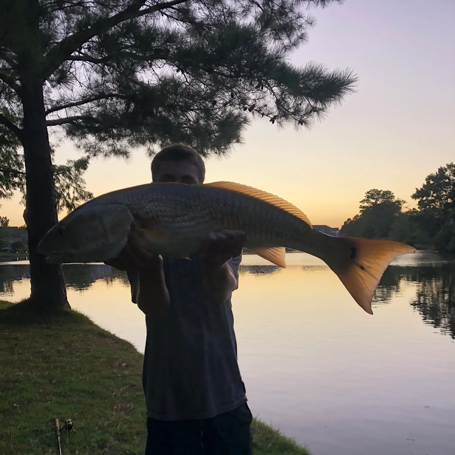 Red drum caught on Fishbrain