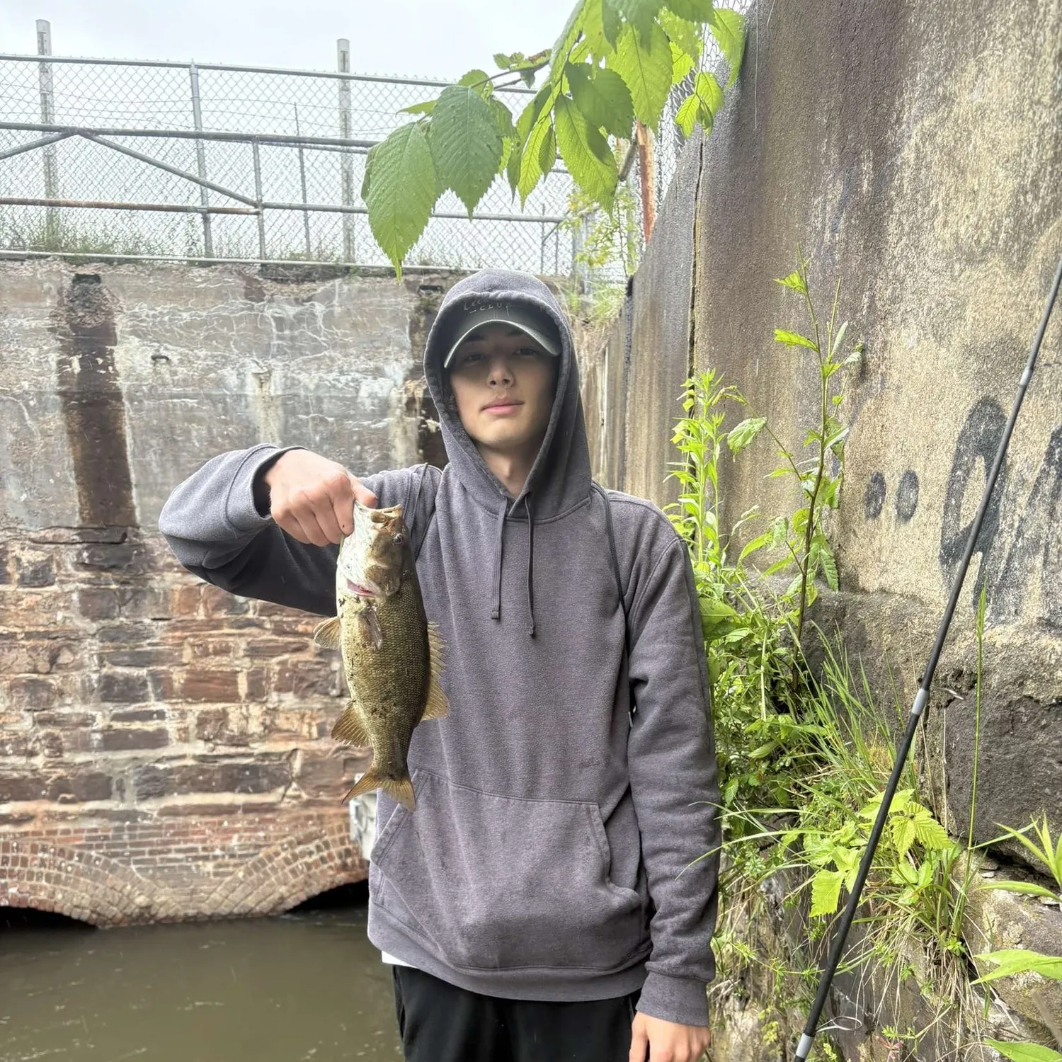 angler catch