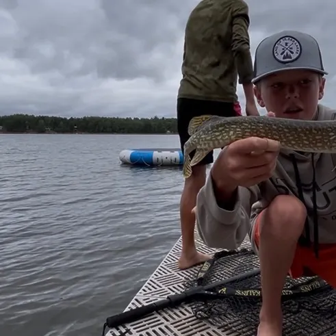 Northern pike caught on Fishbrain