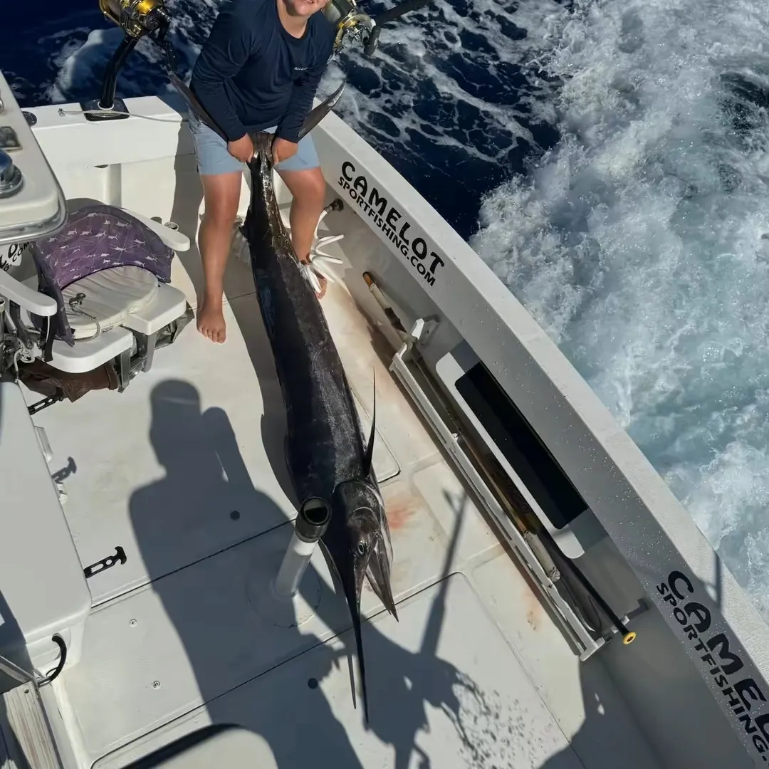 The most recent Atlantic blue marlin catches on Fishbrain