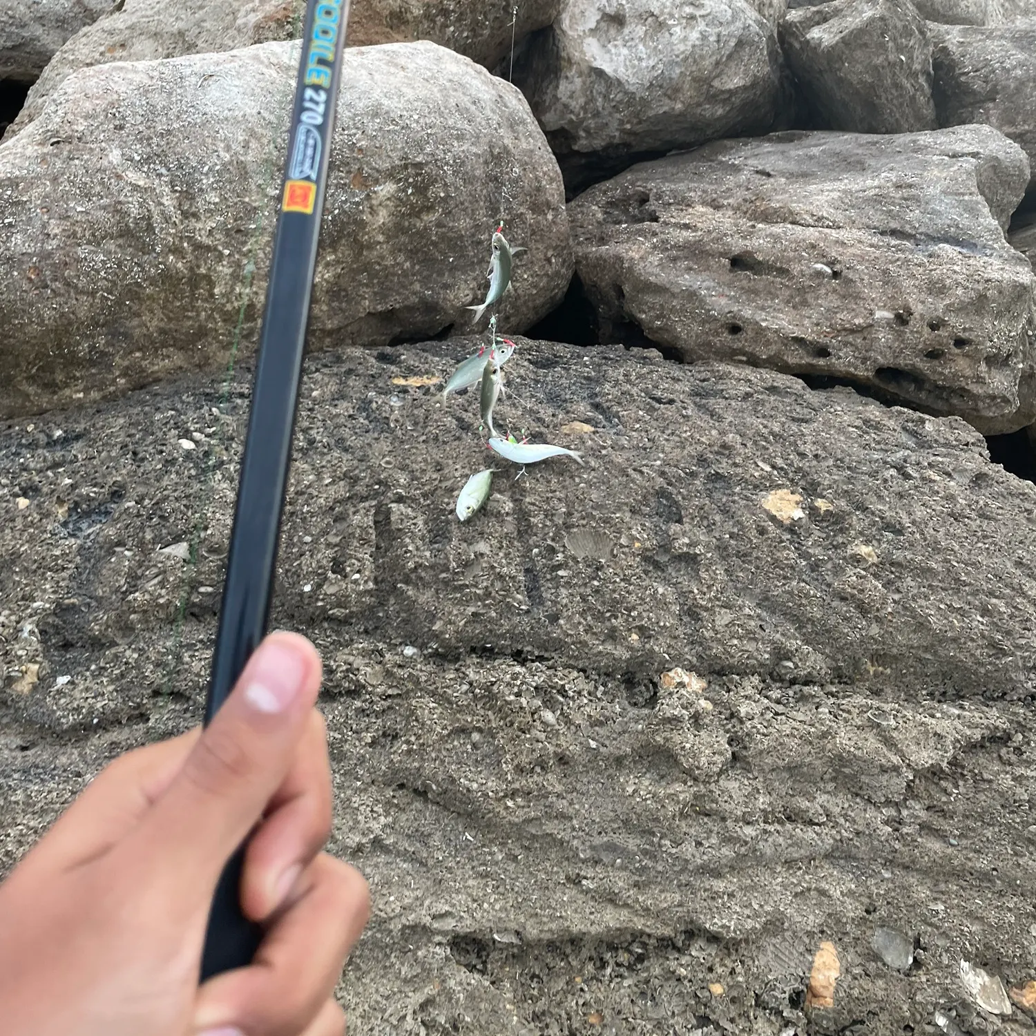 most liked catch image