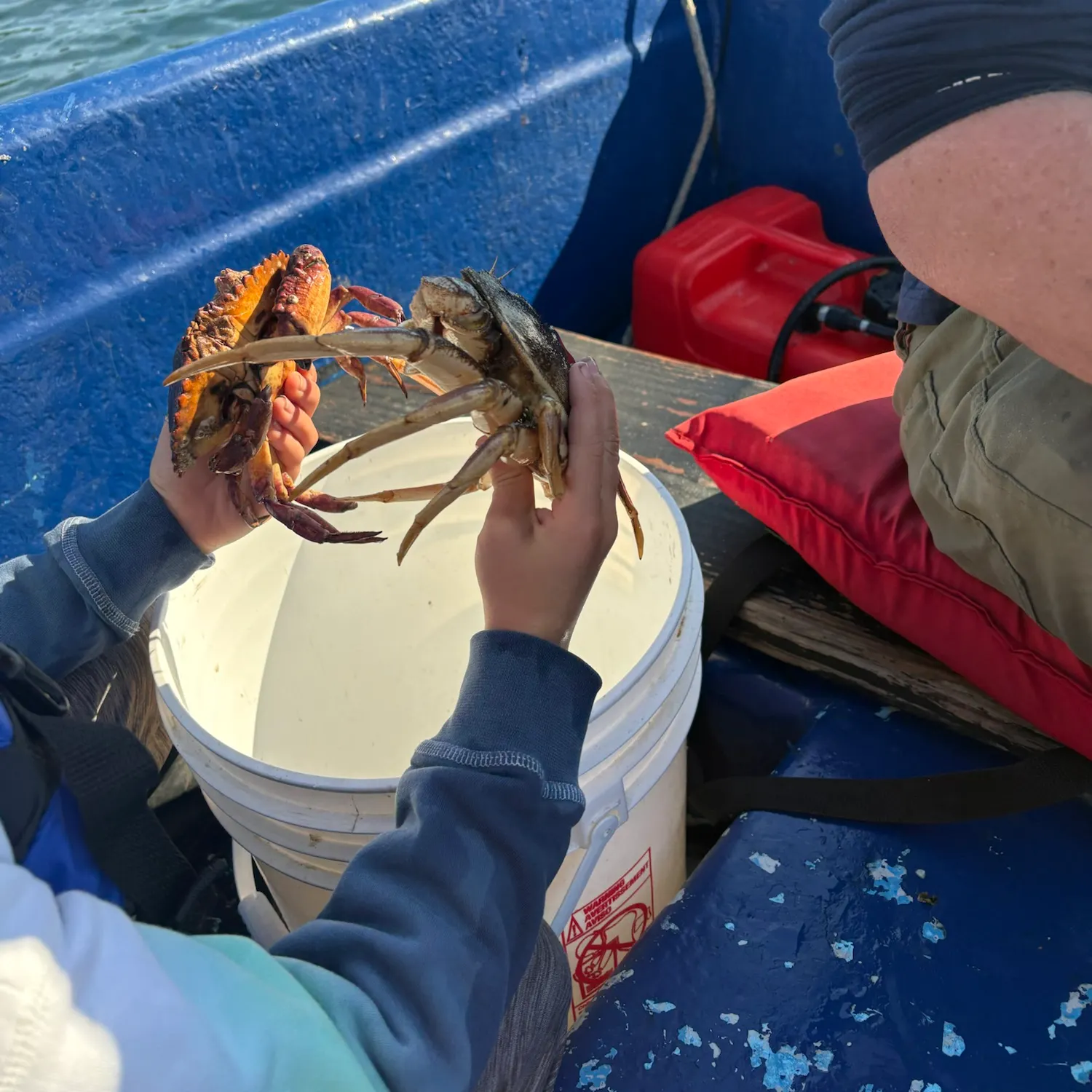 Dungeness crab caught on Fishbrain