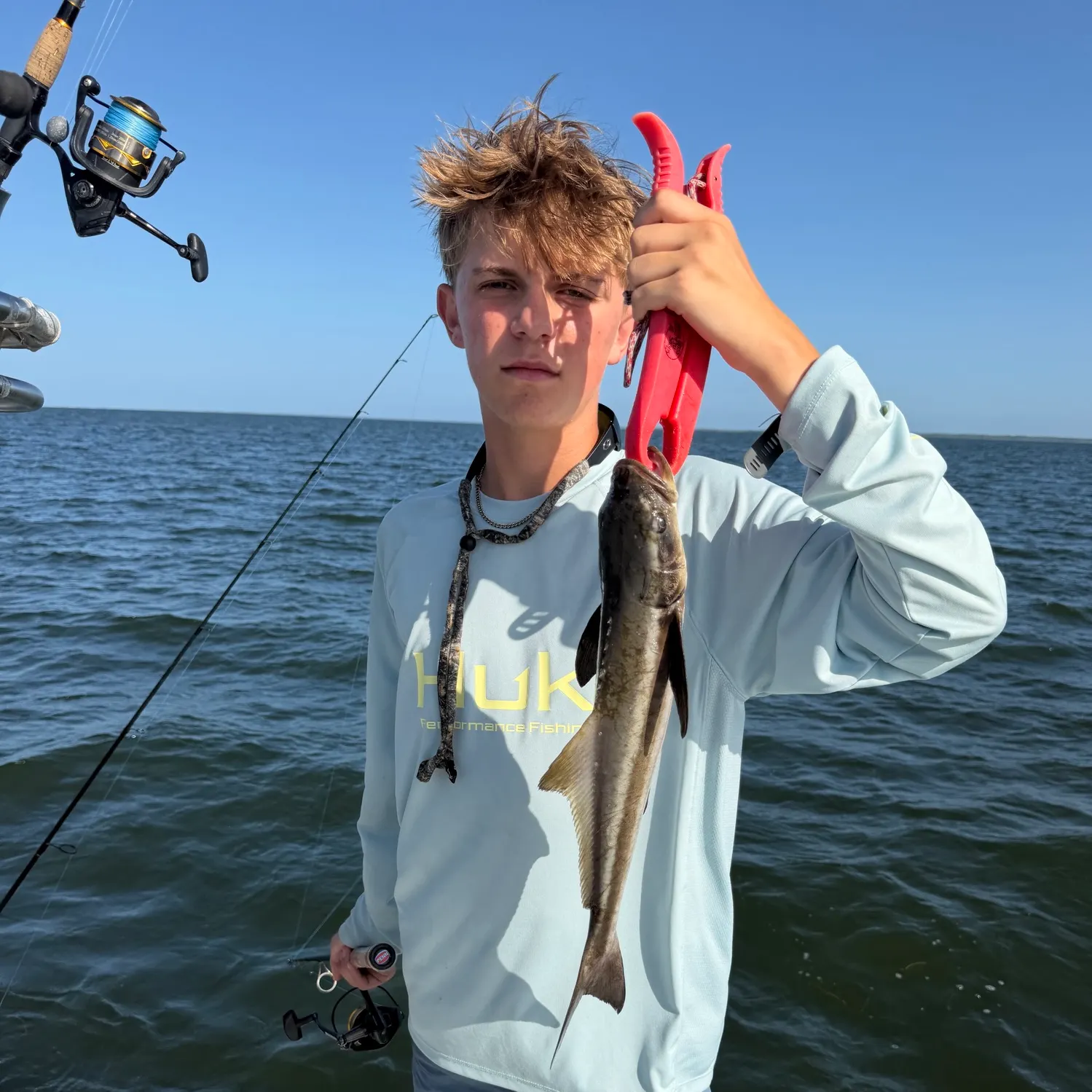 The most recent Cobia catches on Fishbrain