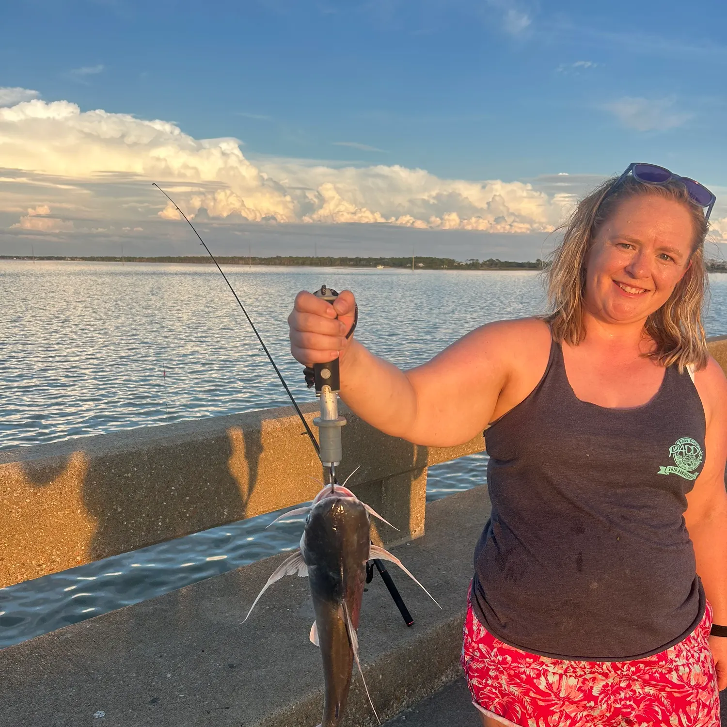 Gafftopsail sea catfish caught on Fishbrain