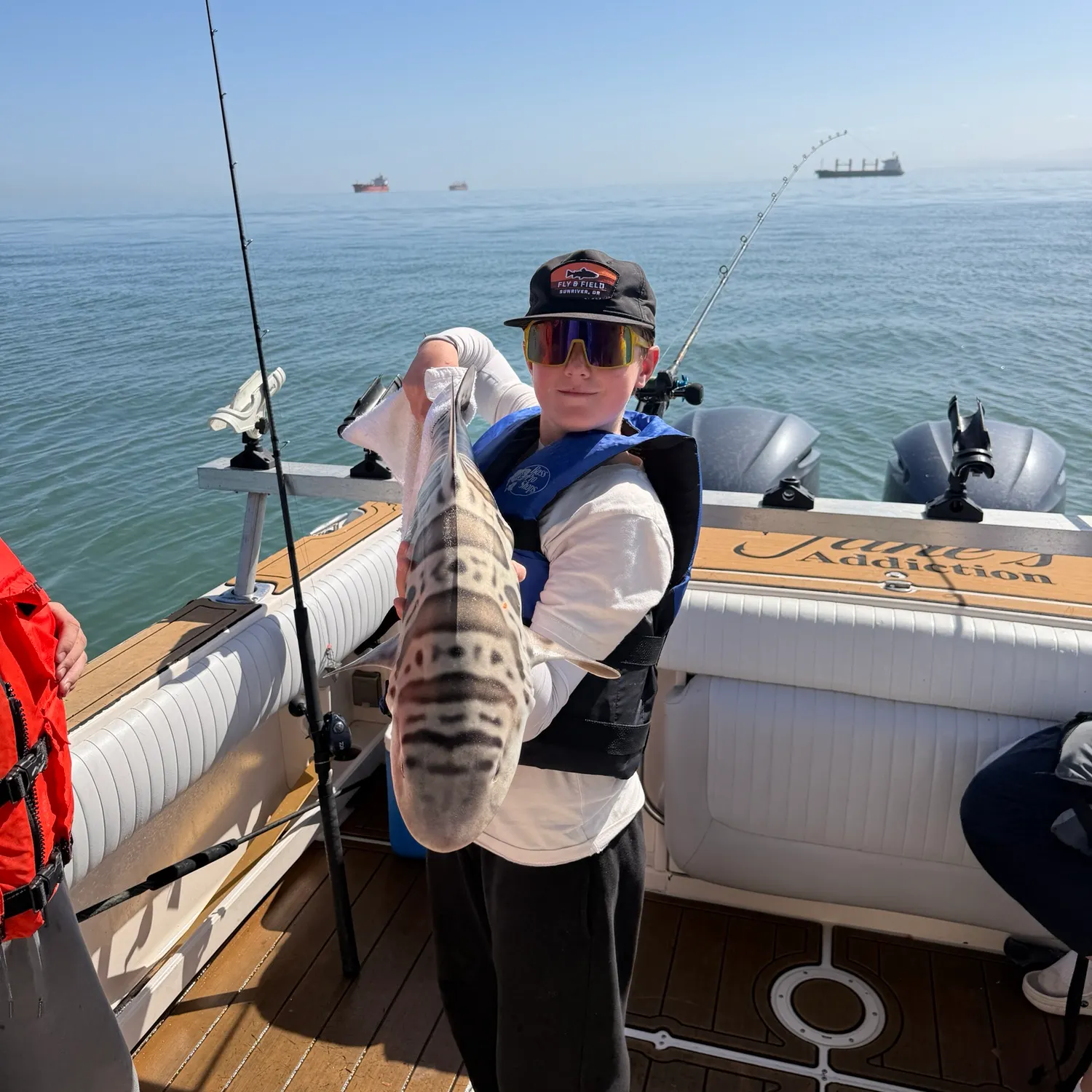 The most recent Leopard shark catches on Fishbrain