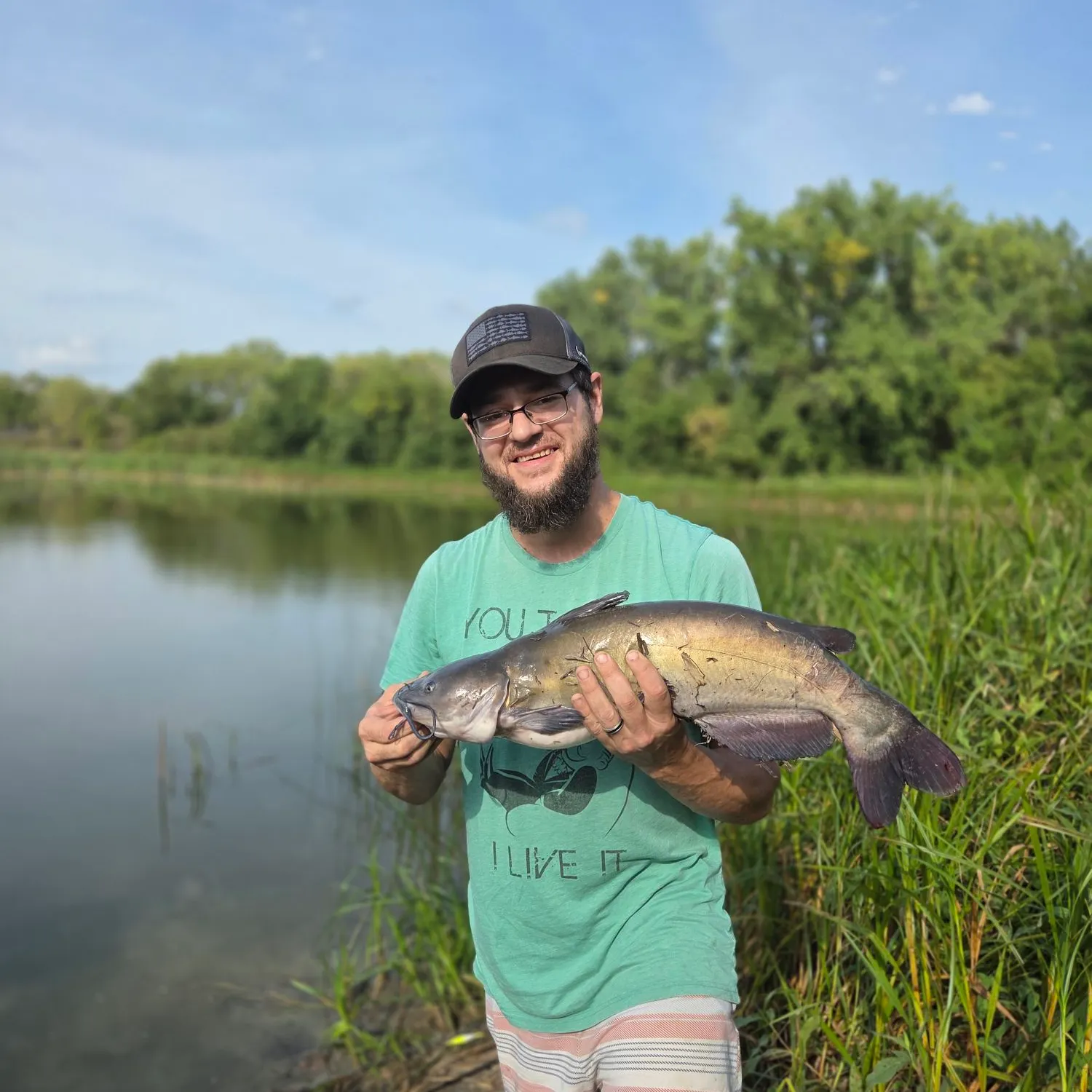 Channel catfish caught on Fishbrain