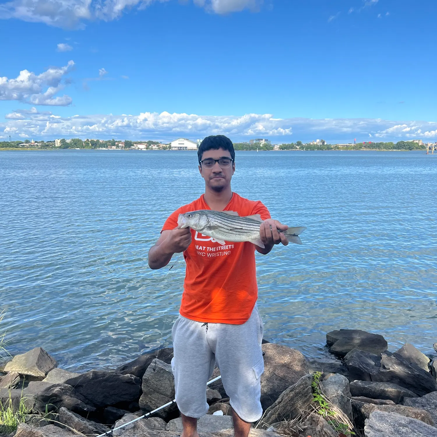 Striped bass caught on Fishbrain