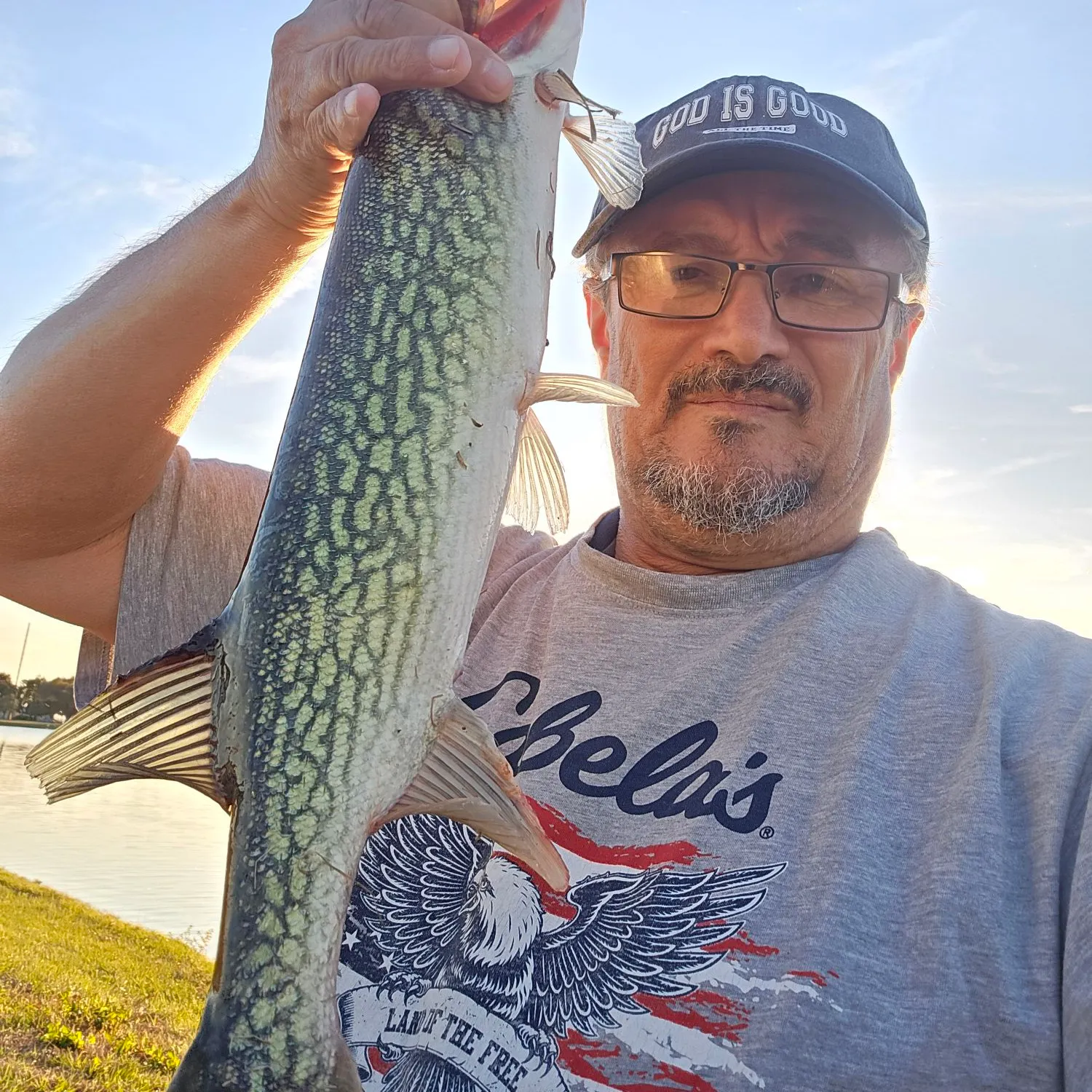 The most recent Chain pickerel catches on Fishbrain